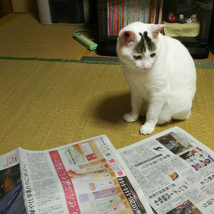 F9012025 9f17 464e a320 c8cd97e4954e