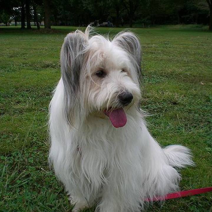 F901c208 c13e 44a1 9126 b9057e7a1736