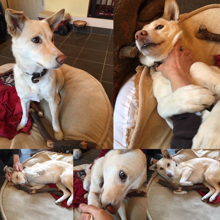 F901f067 8a4d 4a13 b895 3f3a9861f0dc