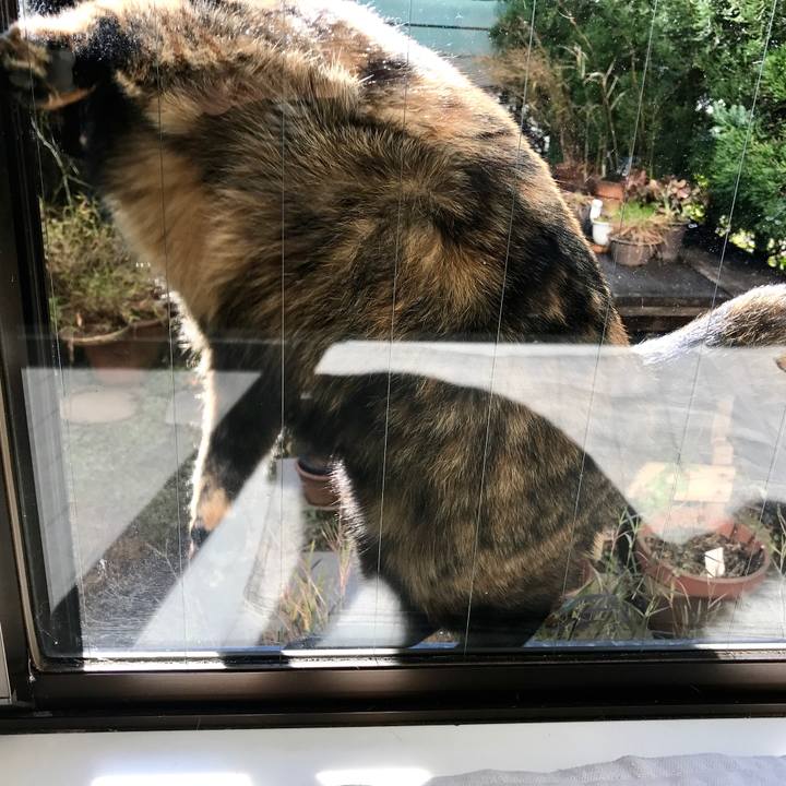 F90290b9 397b 47fb b46d c0ca307e98a6