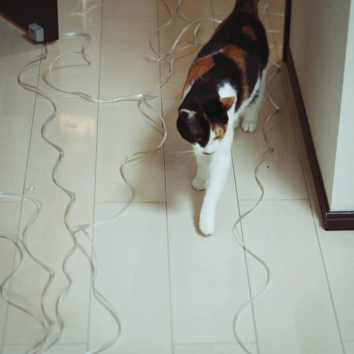 F9033079 b669 477d 85cc c3e457254beb