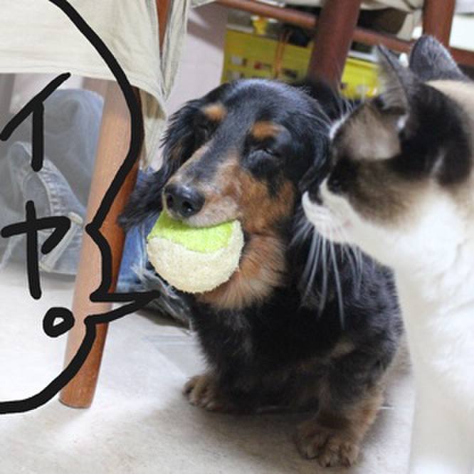 F90332c6 cf2c 45e0 a2ca 30ab657f074b