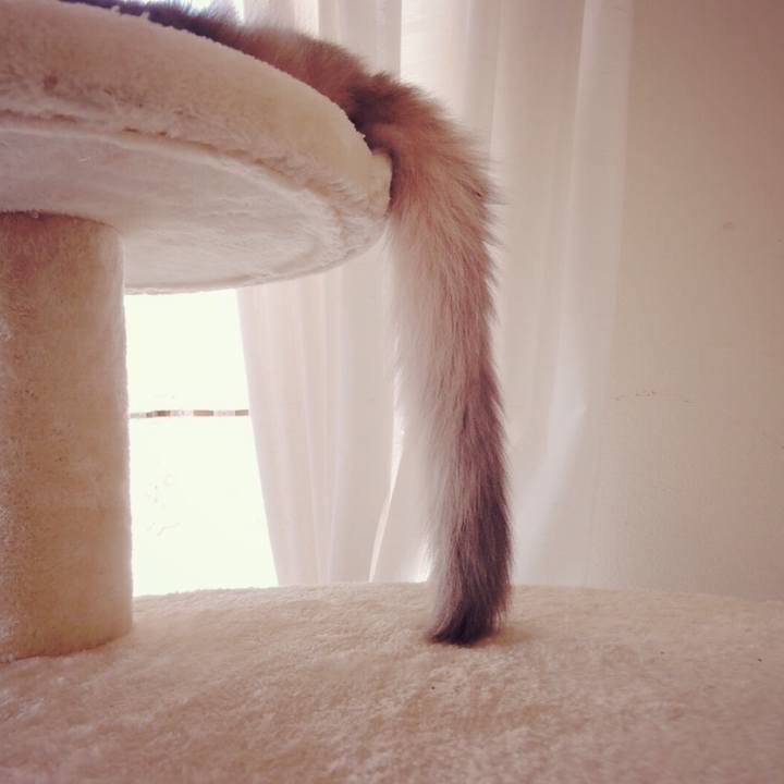 F903501f f204 44ec b4b1 2a0dbcc62948