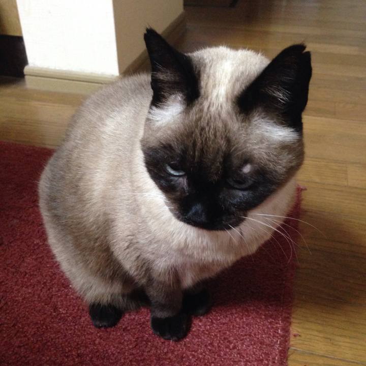 F9039944 6832 4aec b07c 4a75f513c1fd