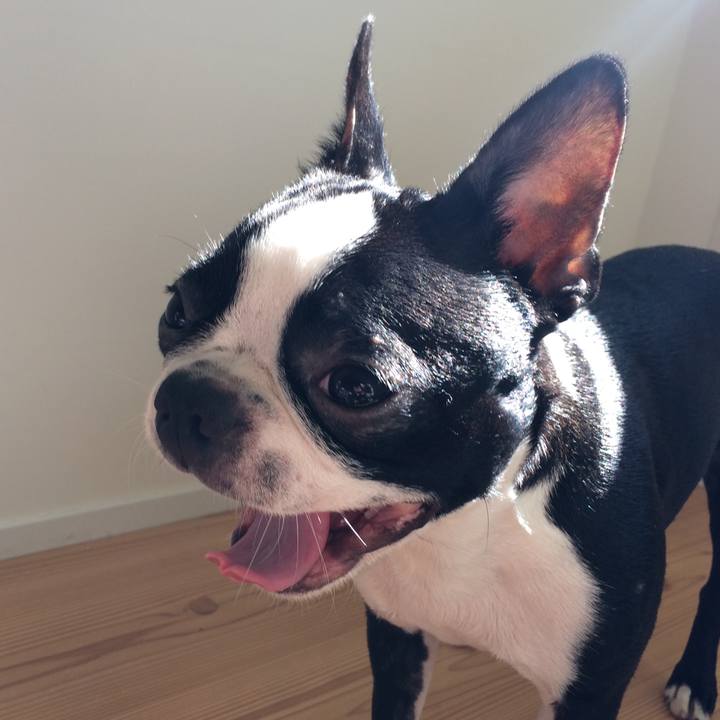 F9039ffe f842 4e3a 8ffa 9c04e7a8ebb7