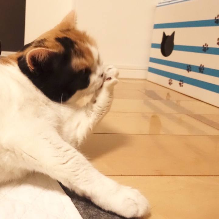 F903a9f1 542d 4765 a396 d3c47a31687d