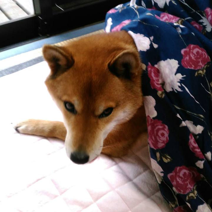 F9046d0c a8cd 4123 8698 1c5cb1f55700