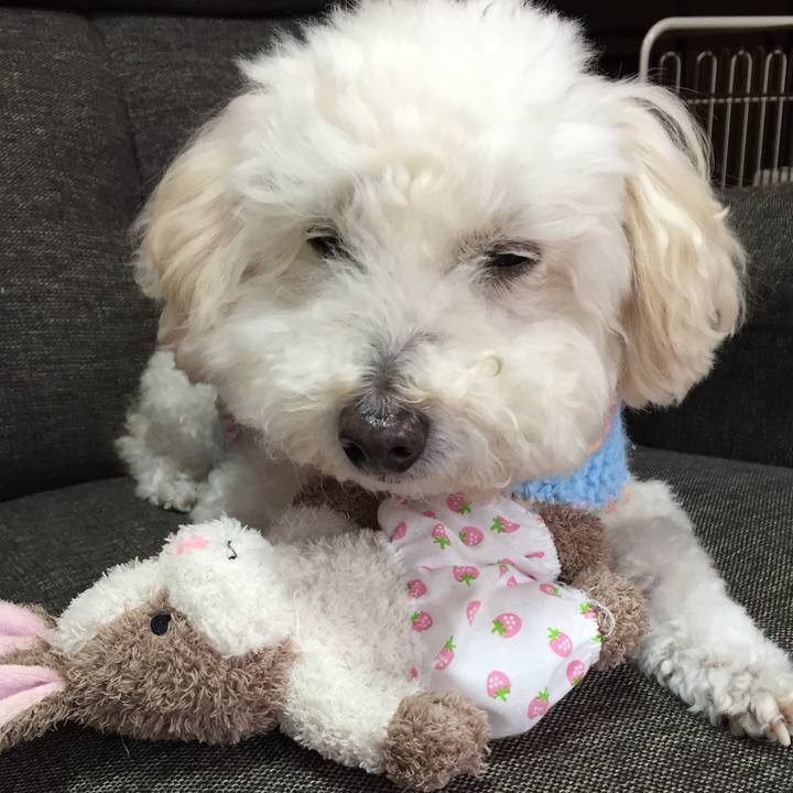 F90472fa 7a83 49ec b548 96b7a3948bac