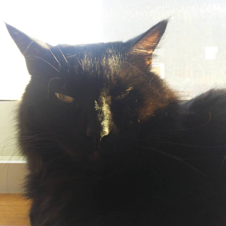 F904a977 0750 4299 81f7 66bf9d3ee1ba