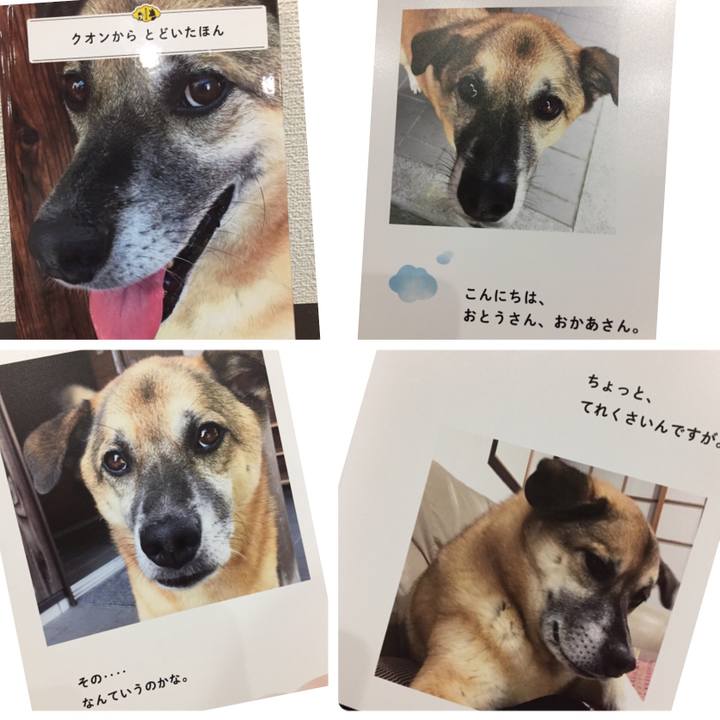 F9054263 507e 4c9b 8206 0c4afeebc0bb