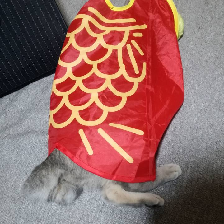 F905772b 6f04 4f17 a764 5b4493c098ab