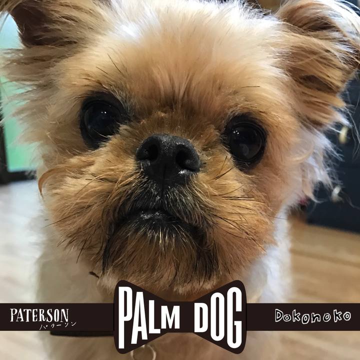 F905ec3f 9b84 4876 ad73 853e98f2604a