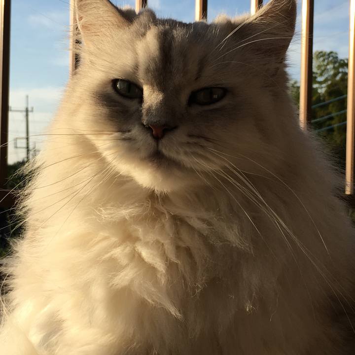 F9060cb3 0c9e 4dc2 a651 fa09743342fb