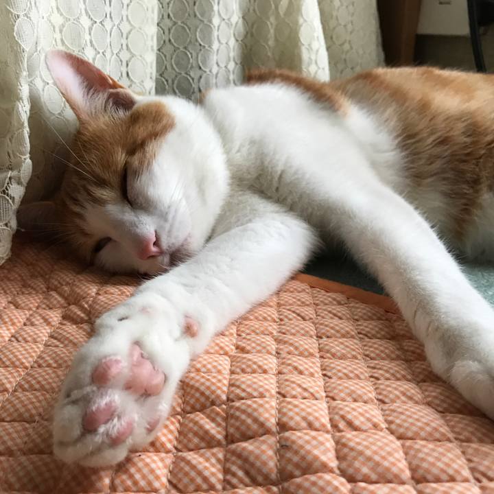 F90731b8 b7a5 4737 94bb 9a4ccdfd79d9