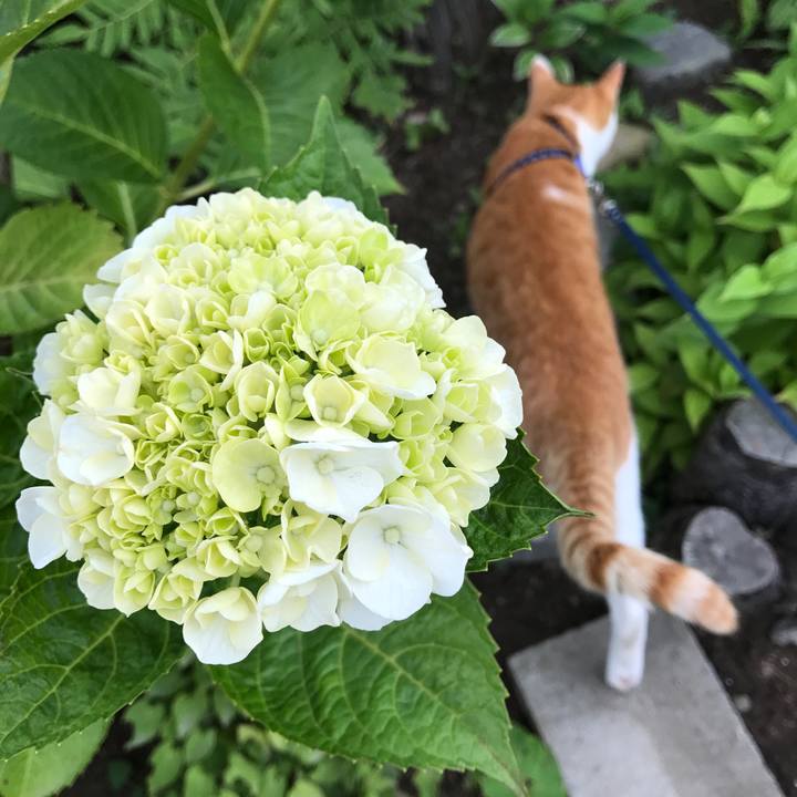 F907663a fd0f 4e5b bf92 c68dc23f8628