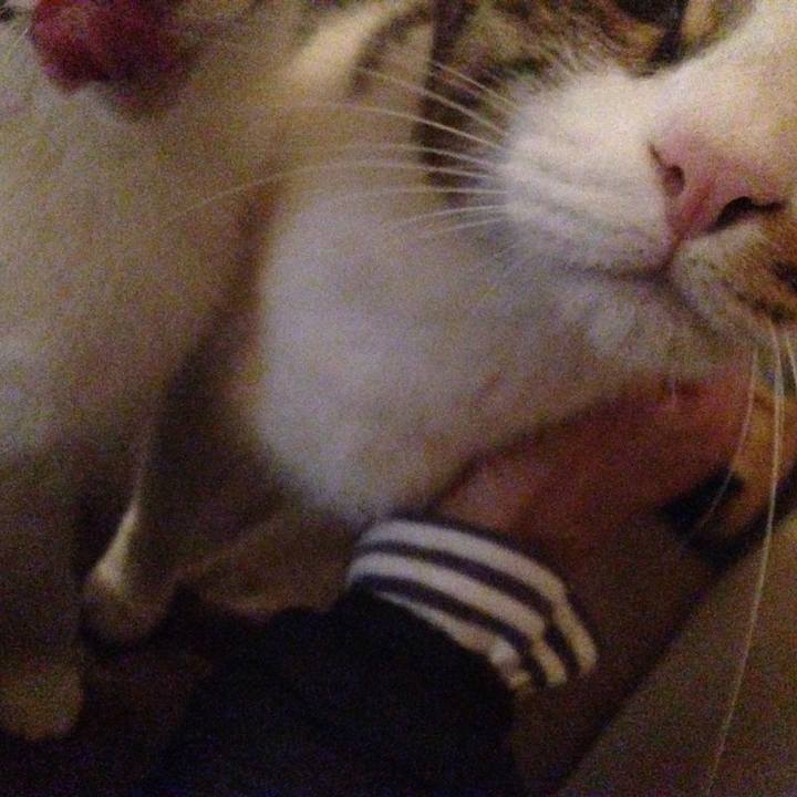 F907e425 0ca3 4627 90a9 ed88c89f7718