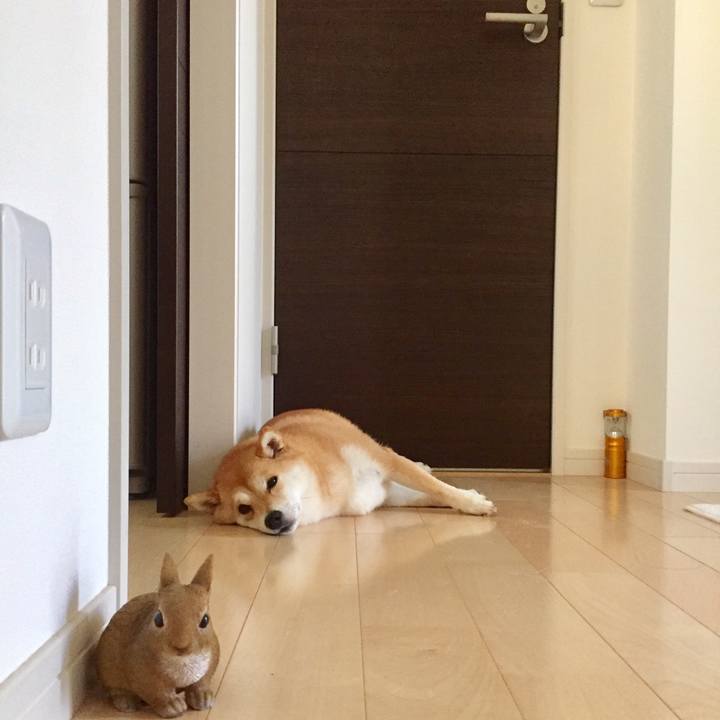 F9080c6a c9f2 4054 857f f6236230a1d3