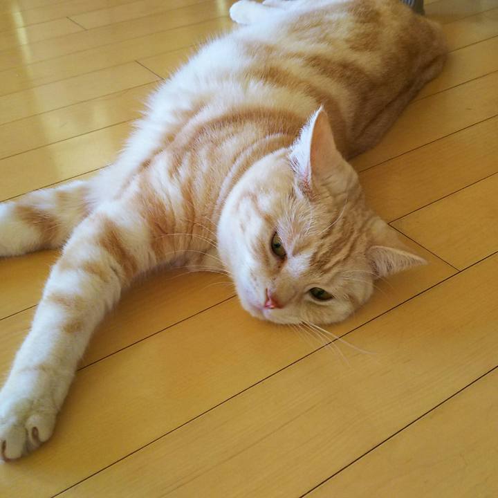 F9082796 ea20 49e8 a8c9 23a5a69ad9c2