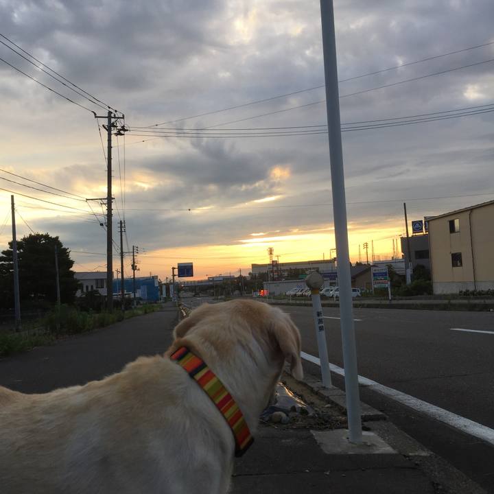 F90861af 053c 4530 b435 efd262ebb0d6