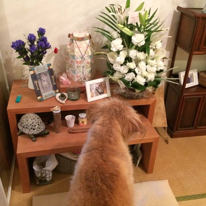 F9086753 7b26 42cc 8e54 06512a35e962