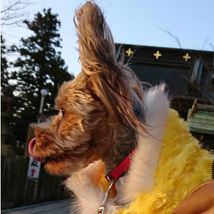 F908cb1b fe10 48dd b82f 732908e908b0