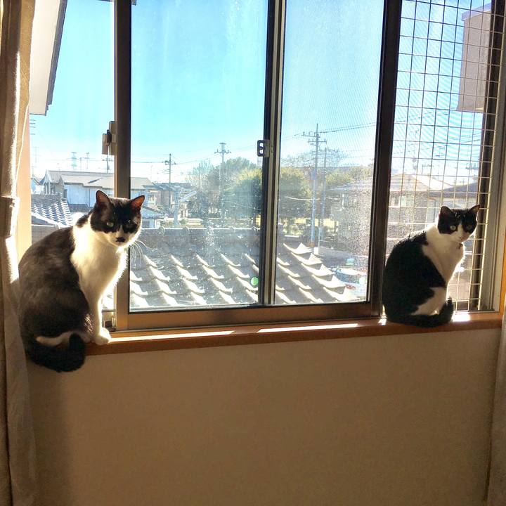 F908d594 6bff 4fb2 a786 d68d5db873b9