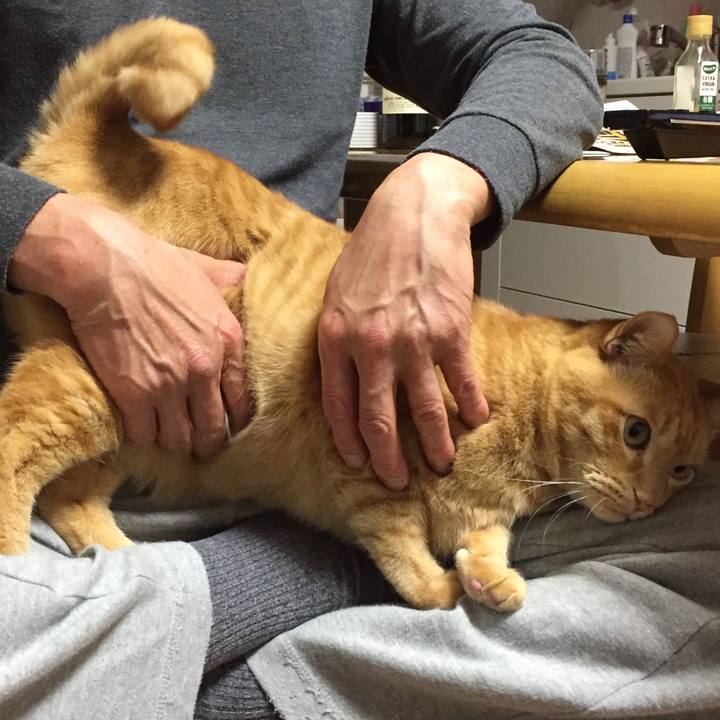 F908eb73 e4af 49df 8fcb 11a25e4d2f17