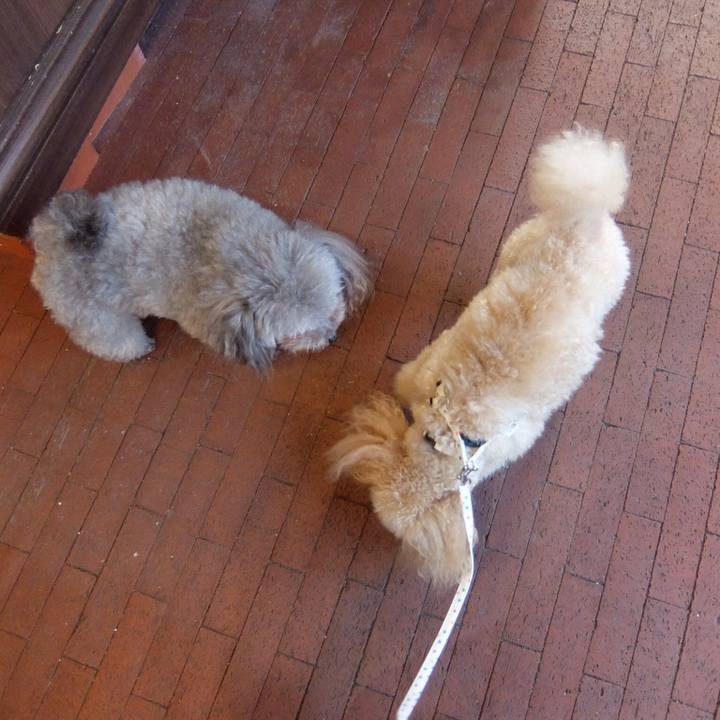 F908f471 003a 473d a046 05a446fae108