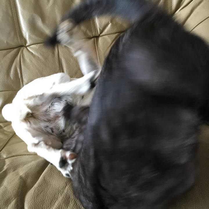 F9094d22 4fec 49ee 8624 90920e42704a