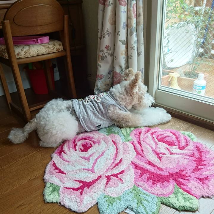 F909af6a 605e 4c70 882a b5aba21f9e65