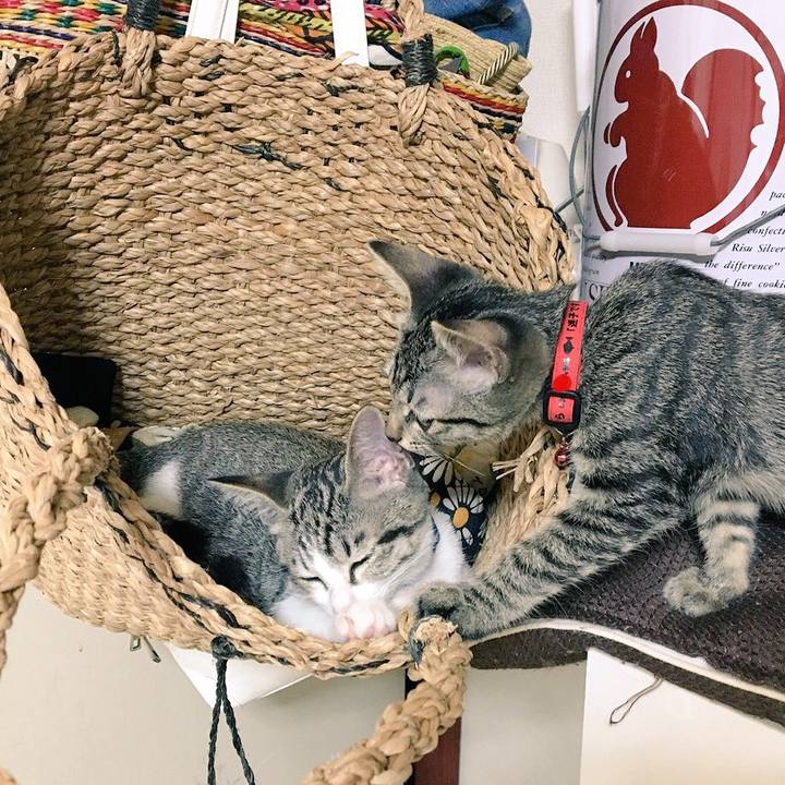 F909f031 6fb0 4102 ab30 c25180d964d7