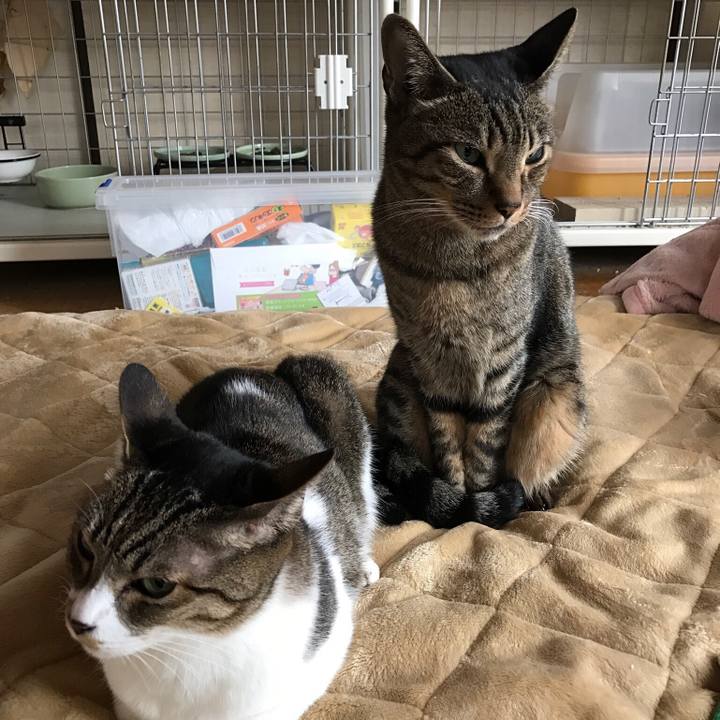 F90ab2fd c432 40a3 a0e2 09dcb3f27ed4