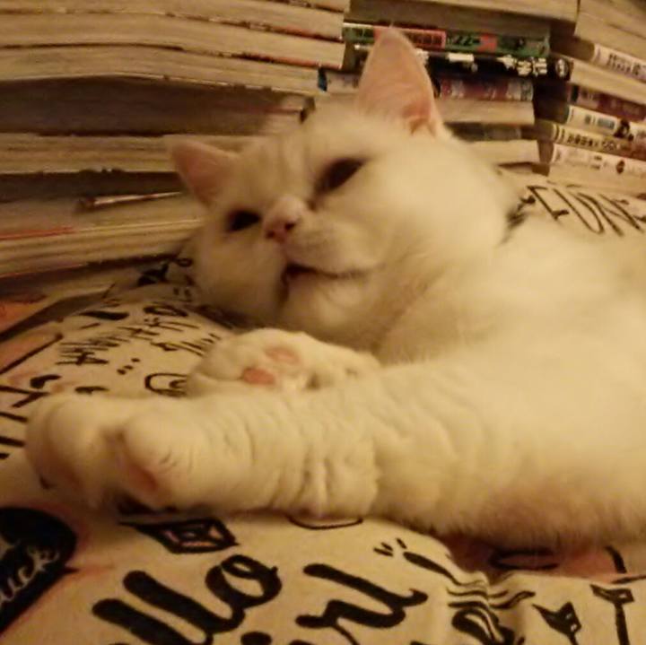 F90ac5d5 de12 45bc a76c 03863c93a490