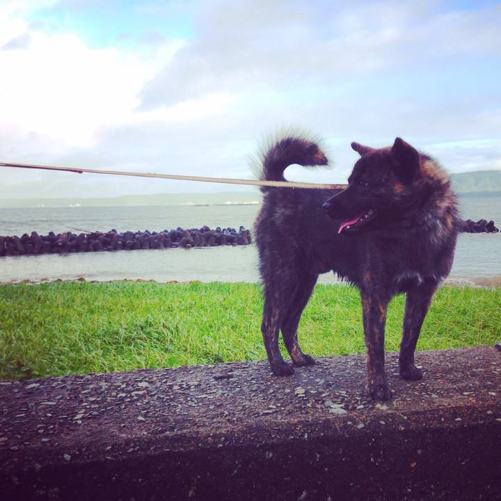 F90af3da e9aa 4d50 ab37 db3406578c7a