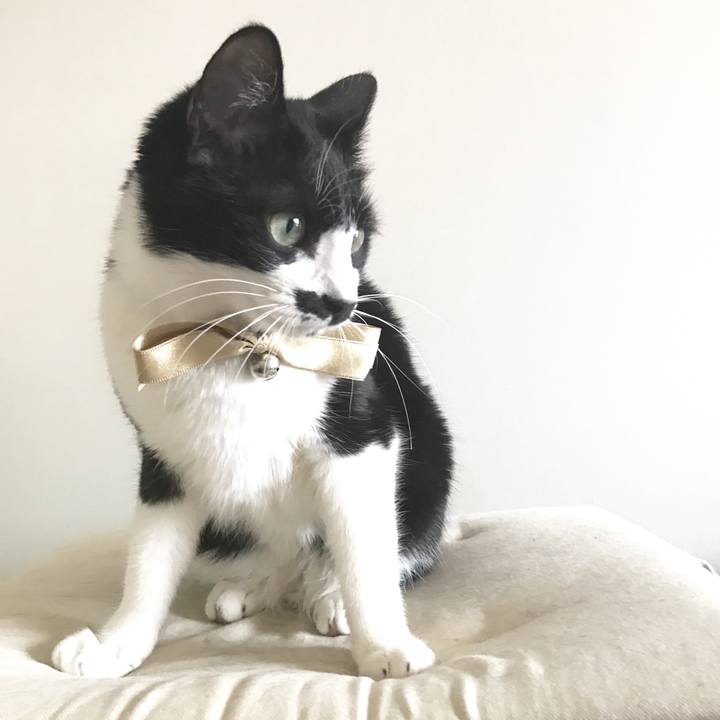 F90b094f 410c 487b a64f 88d83a2e37f4