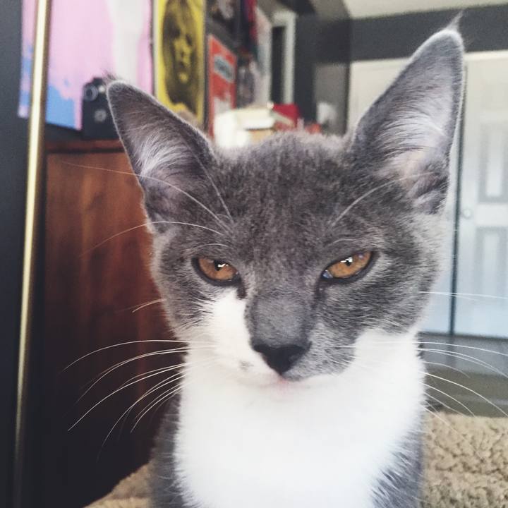 F90b8c1b 3986 46dd 88ec 83ced9b9affc