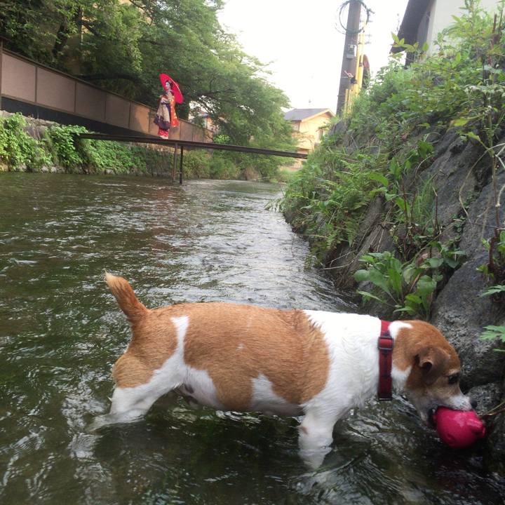 F90bcc57 ffc9 4c58 be0e 932a6157f794