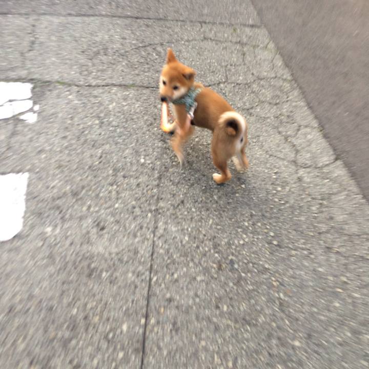 F90c3cea 7c75 47b7 ab48 338c366ba725