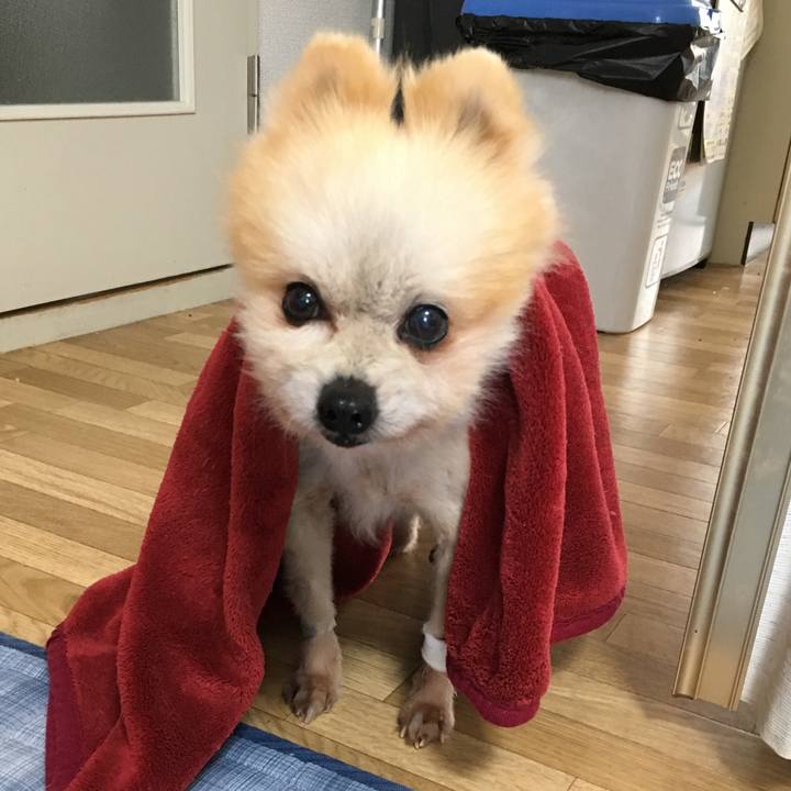 F90c49b0 f03e 444f 98e4 5473bb5d7e34