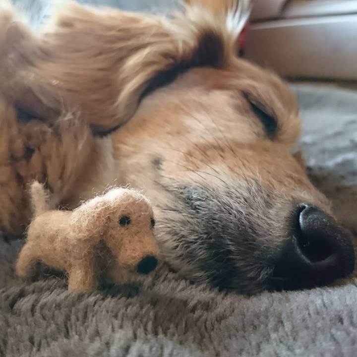 F90cbb9e 792d 4c3a 9397 b1e435a9771d