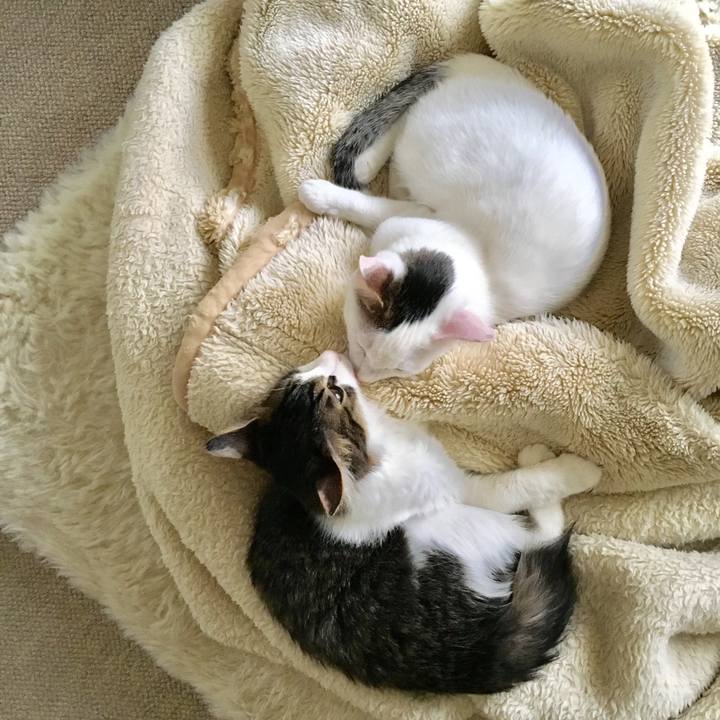 F90d159a 3ef4 4264 973e 0d1f110b4b88