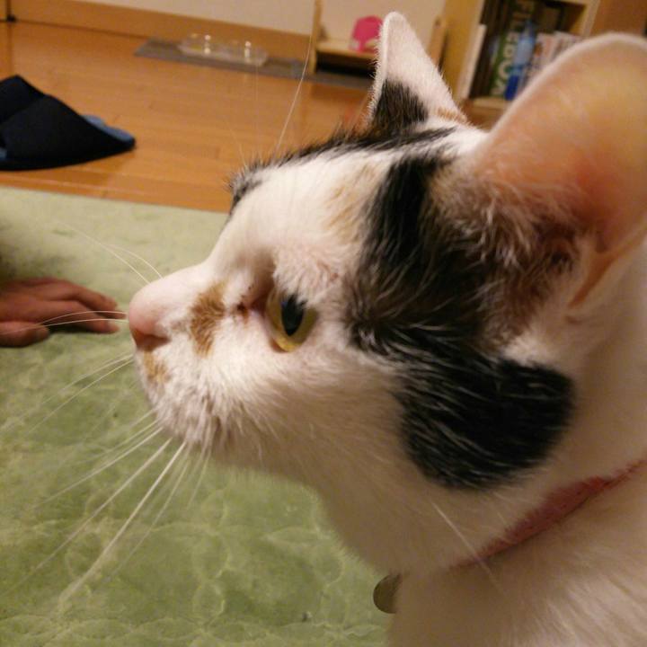 F90d471a 48e9 4248 a5dd 606ff112b0ae