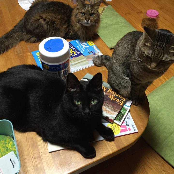 F90d5135 0659 4317 a397 0d0eb6aba5f4