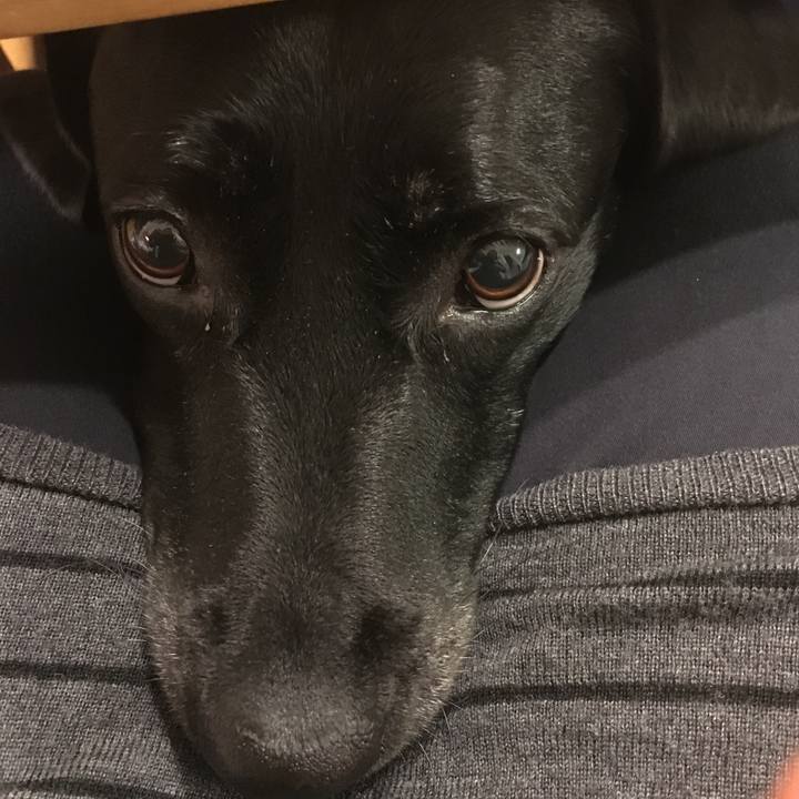 F90e4d39 19d2 49c9 8b64 8c2a51247dfd