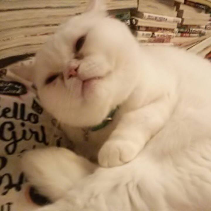 F90e775e 72a2 4bb7 8868 3fa425aa87e6