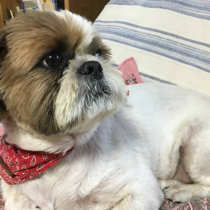 F90e8d15 1412 4141 b775 3ad787b244f7