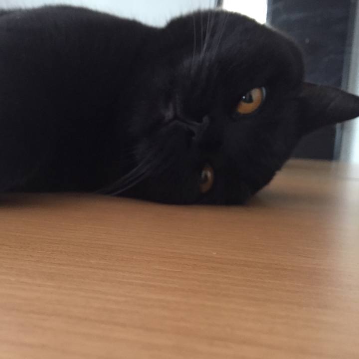 F90ebe42 fe5d 4a6a a2d5 87a540501403