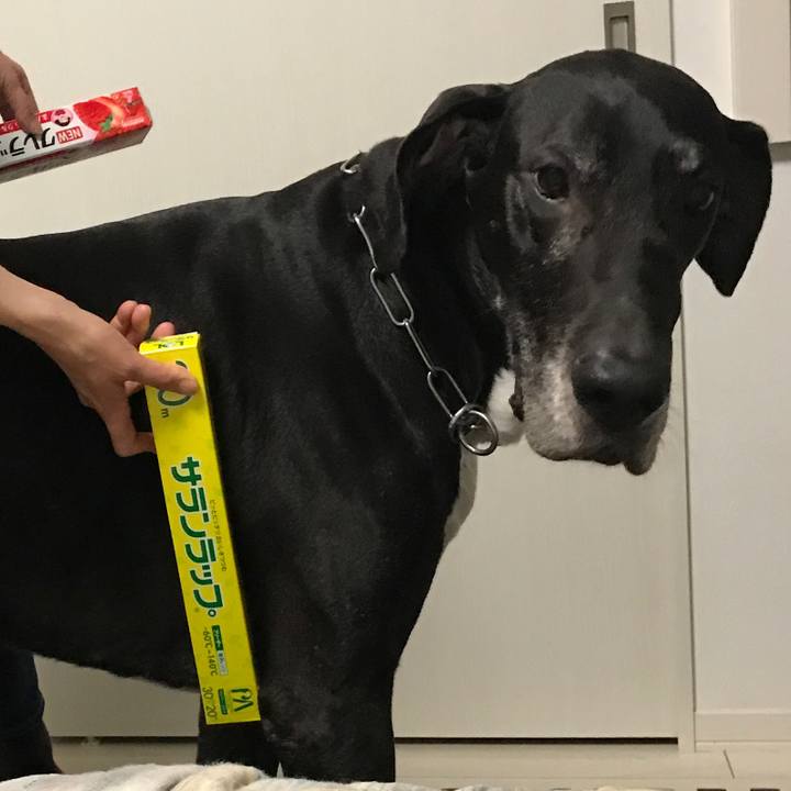 F90ec600 3634 4536 8ec5 1de08b79c564