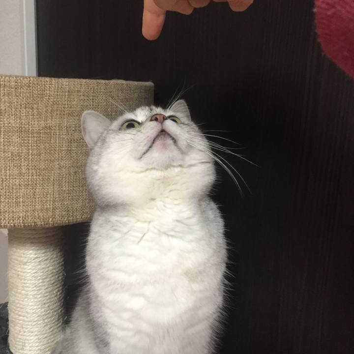 F90fa91a 84ec 4747 b595 1ff0afa5c4f7