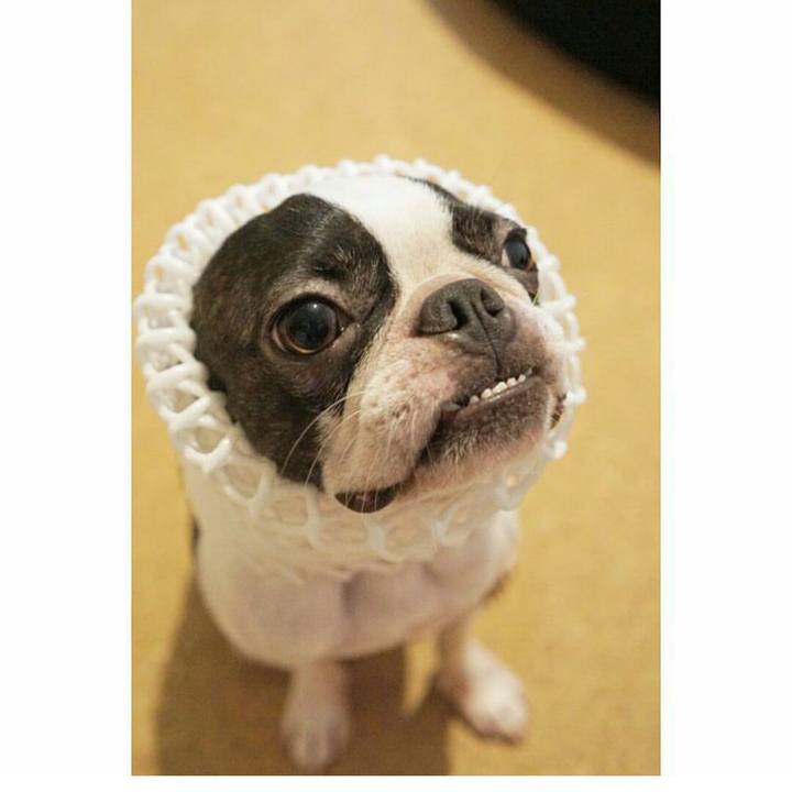 F90fb746 62eb 4fc5 ba14 2b7a8f8724cd